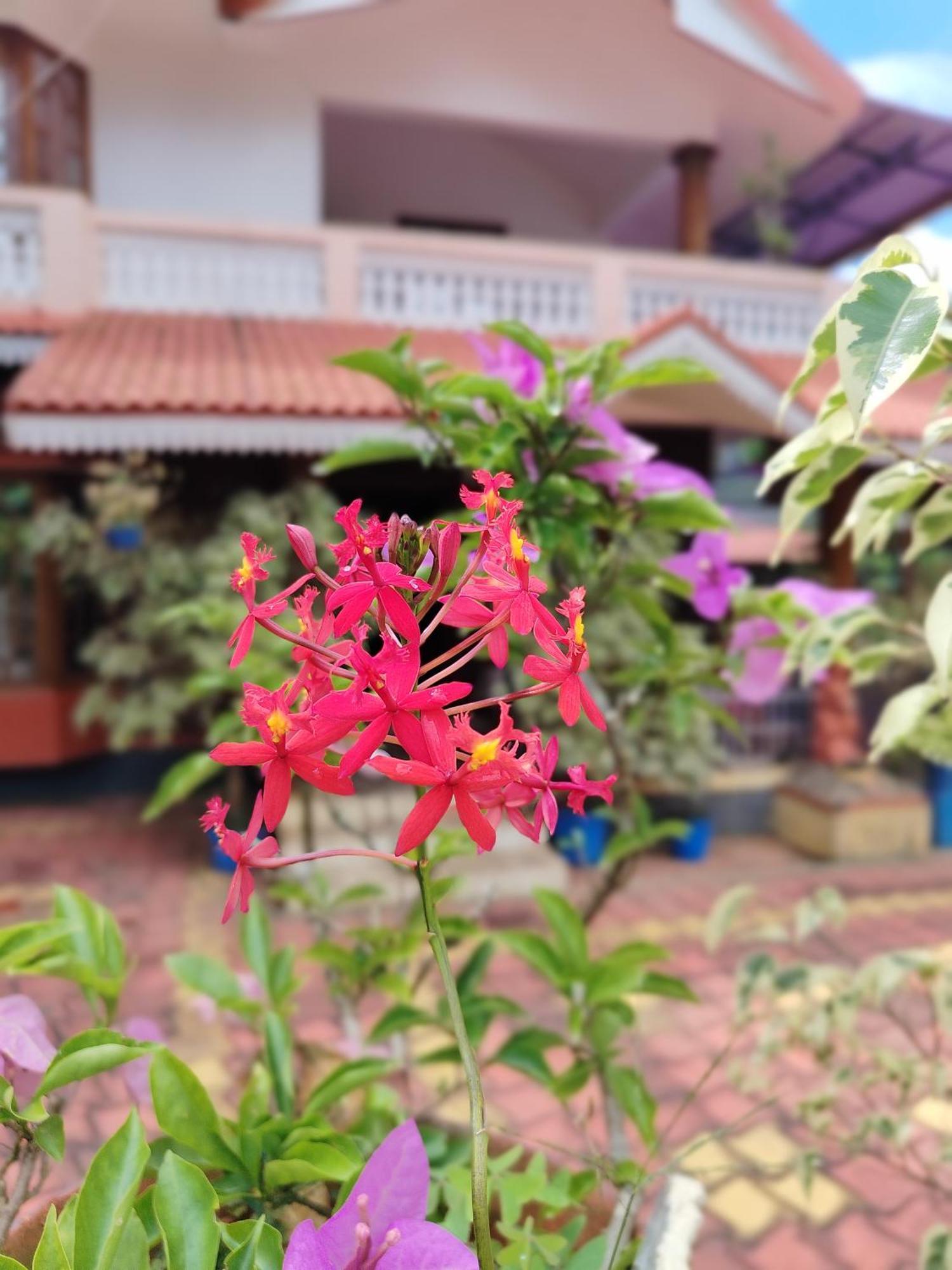 Shivalaya Homestay, Madikeri Siddapura  Екстер'єр фото