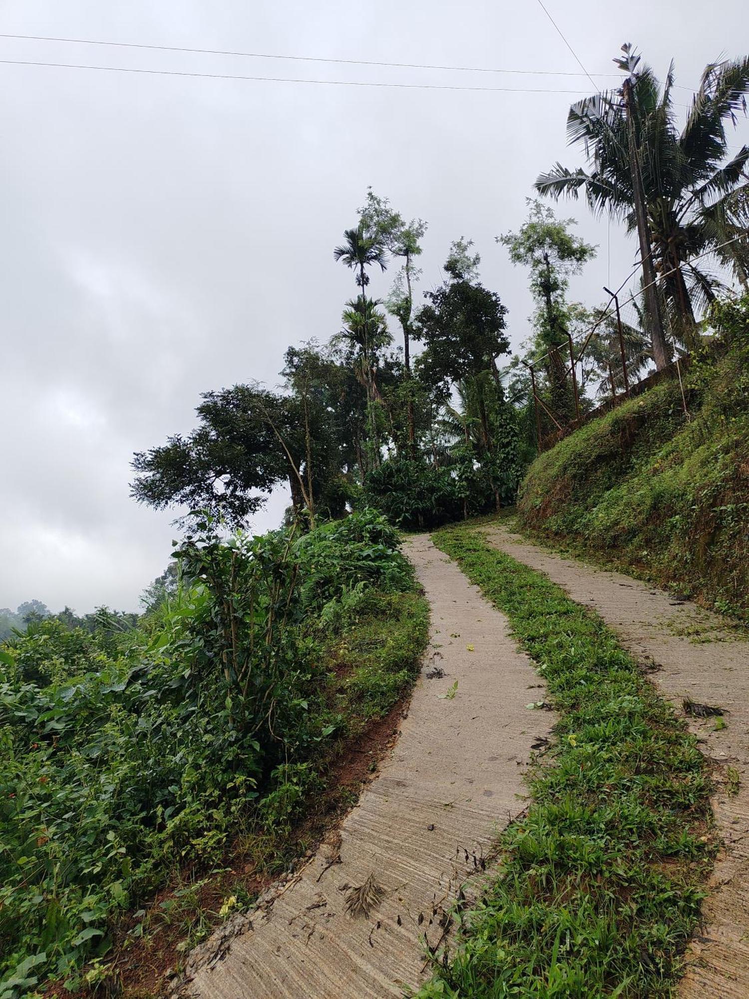 Shivalaya Homestay, Madikeri Siddapura  Екстер'єр фото