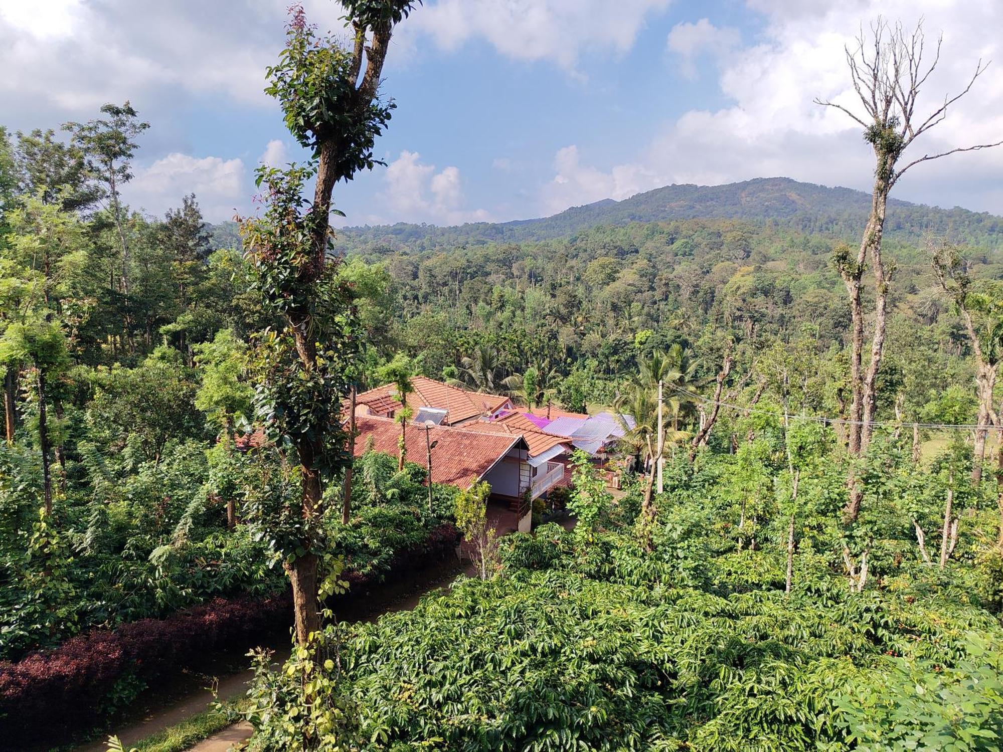 Shivalaya Homestay, Madikeri Siddapura  Екстер'єр фото