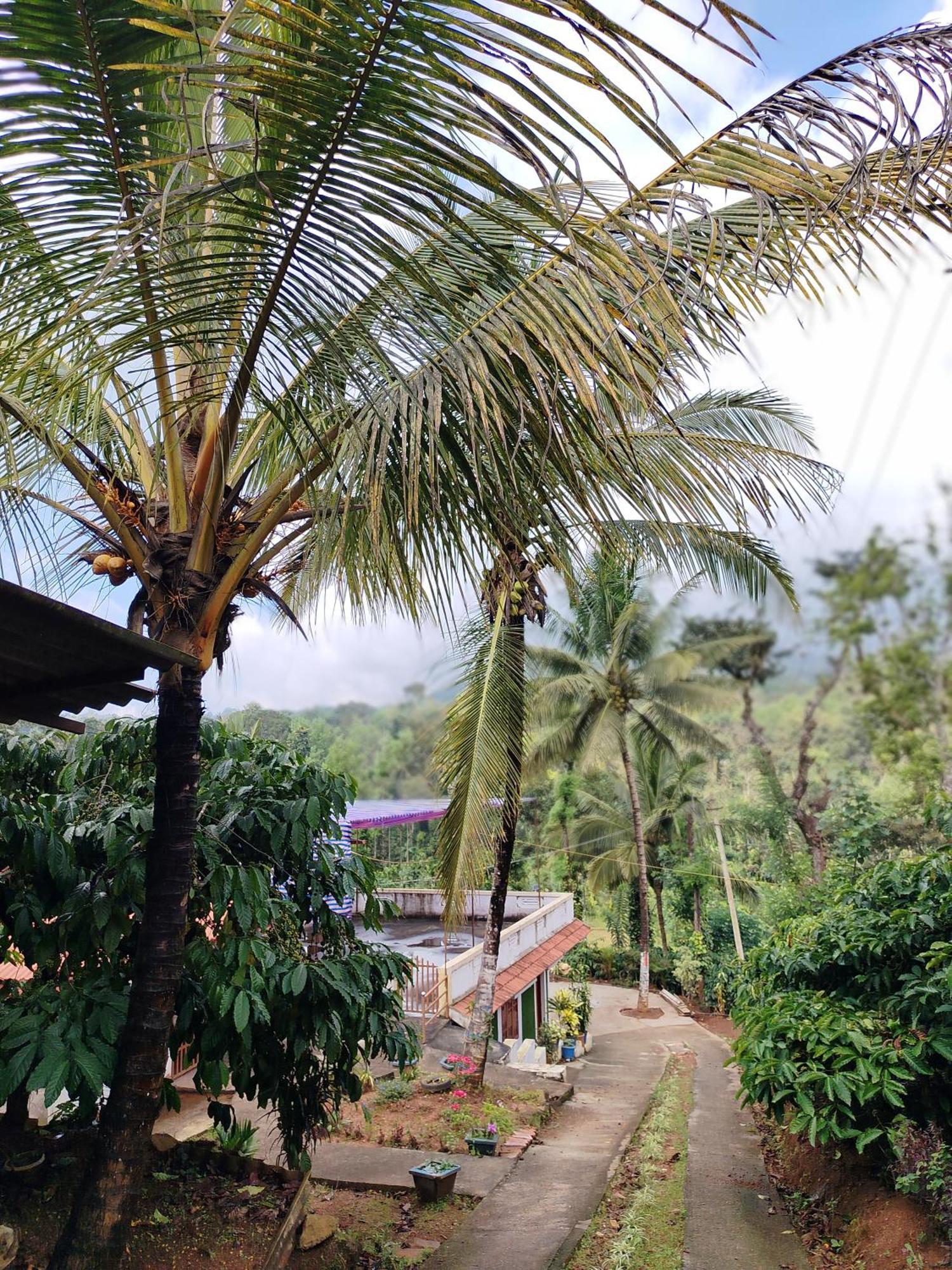 Shivalaya Homestay, Madikeri Siddapura  Екстер'єр фото